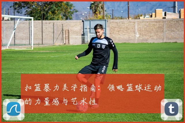 扣篮暴力美学指南:领略篮球运动的力量感与艺术性